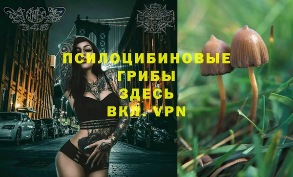 каннабис Каменка