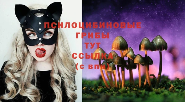 сатива Каменногорск
