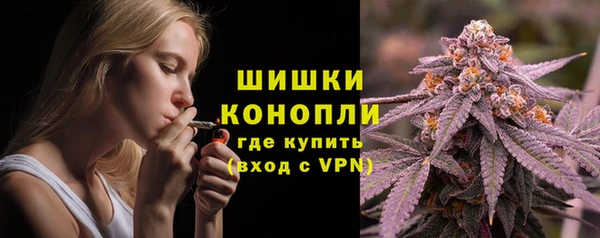 сатива Каменногорск