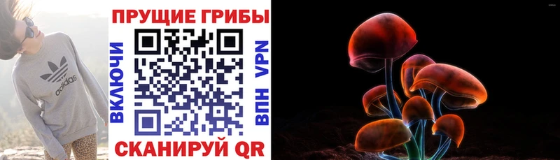 OMG сайт  Калач  Галлюциногенные грибы MAGIC MUSHROOMS 