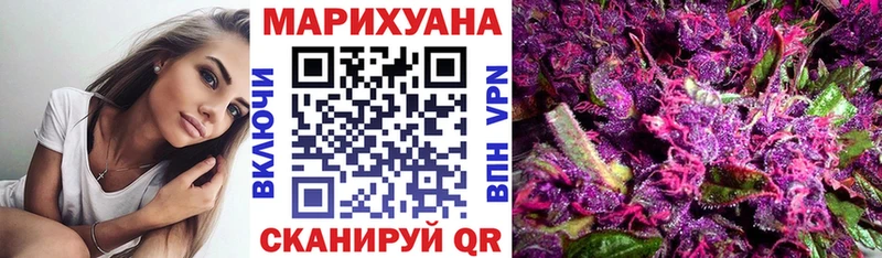 Шишки марихуана семена  Калач 